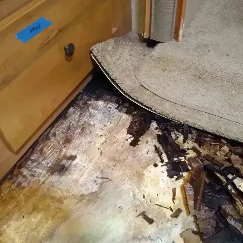 Best Wood Floor Water Damage Service in Minneota, MN